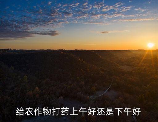 給農作物打藥上午好還是下午好