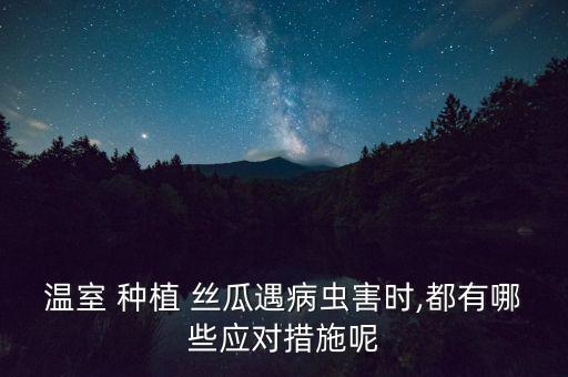 絲瓜種植打黃蜂用什么農藥