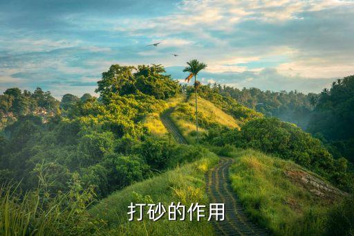 噴沙農藥起什么作用,噴沙衣起什么作用