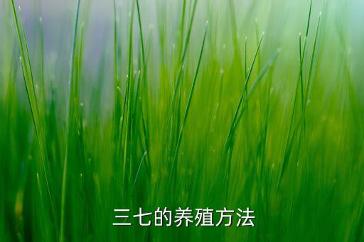  三七的養殖方法