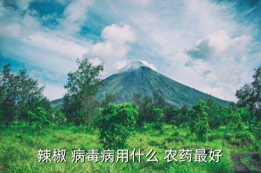 辣椒 病毒病用什么 農藥最好