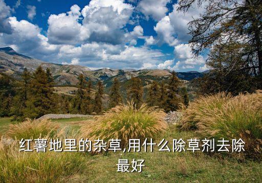 紅薯要噴什么農藥呢,栽紅薯放什么農藥最好使