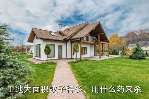 什么農(nóng)藥能滅蚊,目前市場上什么滅蚊效果最好