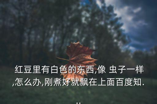  紅豆里有白色的東西,像 蟲子一樣,怎么辦,剛煮好就飄在上面百度知...