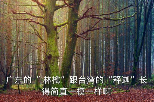 廣東的“ 林檎”跟臺灣的“釋迦”長得簡直一模一樣啊