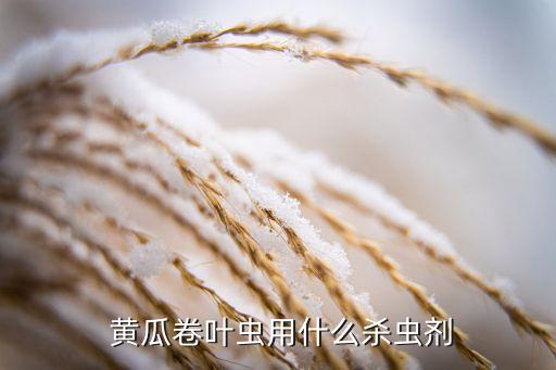  黃瓜卷葉蟲(chóng)用什么殺蟲(chóng)劑