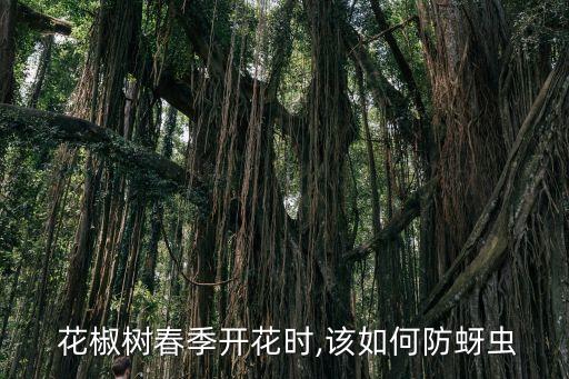 開春給花椒打什么農藥,花椒樹用什么農藥好