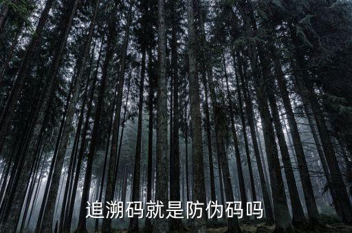 追溯碼就是防偽碼嗎