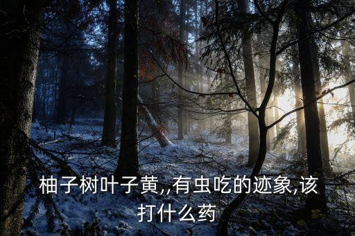 柚子用什么農藥防治,果實蠅用什么農藥防治?