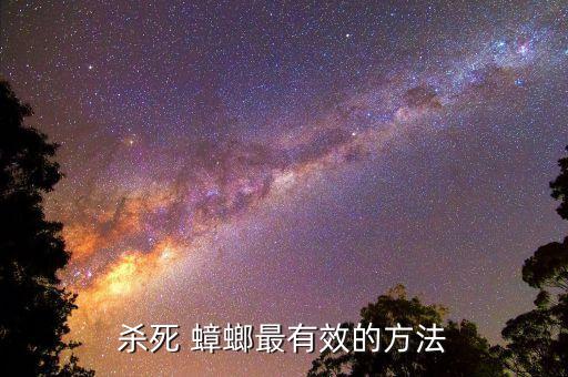 殺死 蟑螂最有效的方法