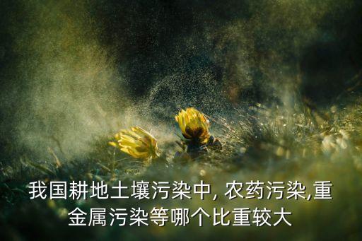 我國耕地土壤污染中, 農藥污染,重金屬污染等哪個比重較大