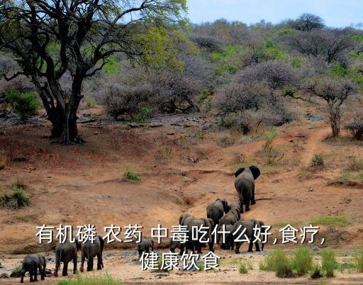 農藥中毒后吃點什么好,小孩吃農藥中毒什么癥狀
