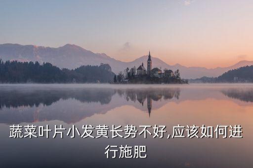 小菜黃葉子殺什么農(nóng)藥