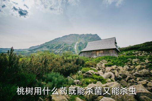 桃樹打農藥用什么藥,桃樹什么時候打什么農藥