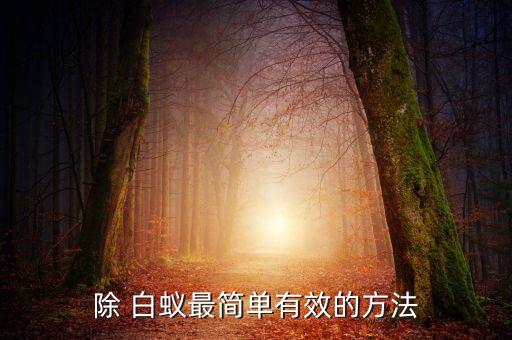 什么農藥治白蟻最好,治白蟻用什么土方法最好