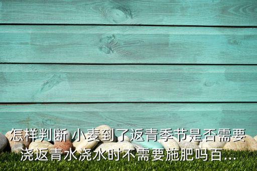 怎樣判斷 小麥到了返青季節是否需要澆返青水澆水時不需要施肥嗎百...