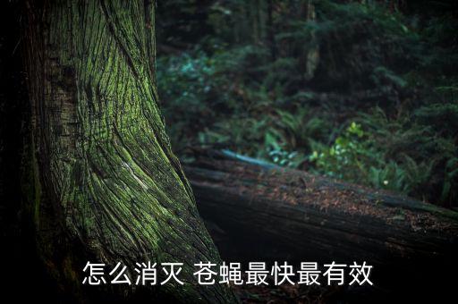 怎么消滅 蒼蠅最快最有效