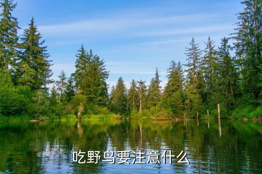 野生鳥怕什么農藥,螢火蟲最怕什么農藥