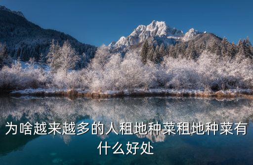 農村不打農藥的地方叫什么,農村打農藥的噴霧器