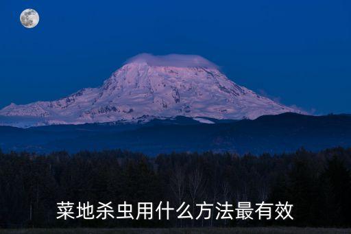 菜地殺蟲用什么方法最有效
