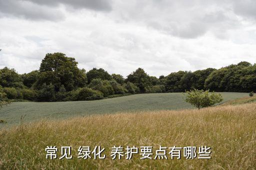 常見 綠化 養護要點有哪些