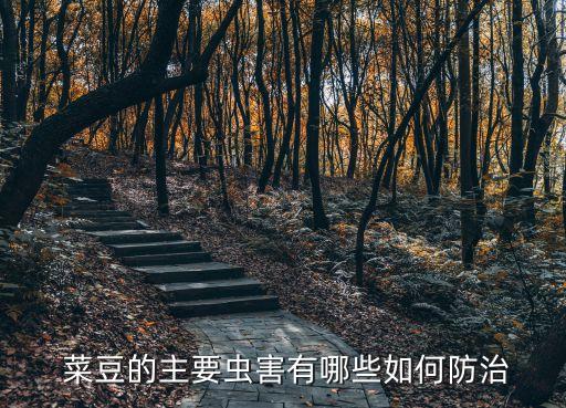 菜豆封閉用什么農(nóng)藥,農(nóng)藥封閉藥什么時間打合適