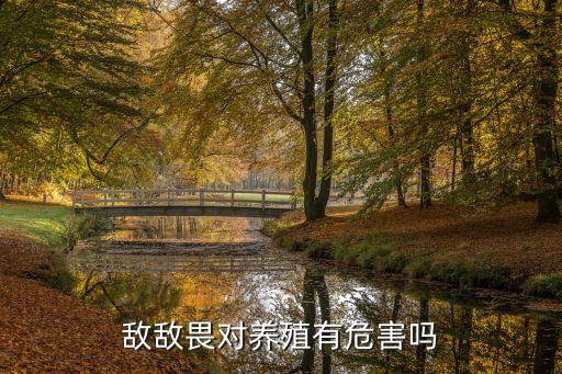 什么農藥可以養海參,福建養海參在什么位置