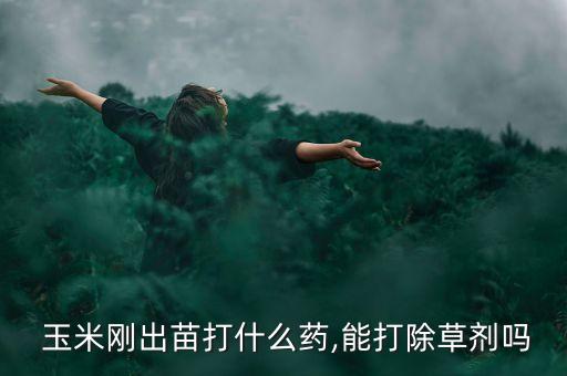 玉米對什么農(nóng)藥比較敏感,玉米治蟲用什么農(nóng)藥好