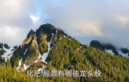 化肥 股票有哪些龍頭股