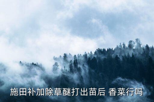 香菜用什么農藥最好,香菜和什么包餃子最好