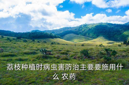 荔枝打什么農藥花才開,噴荔枝用什么農藥