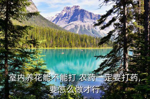 室內(nèi)養(yǎng)花能不能打 農(nóng)藥一定要打藥,要怎么做才行