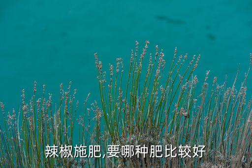 辣椒施肥,要哪種肥比較好