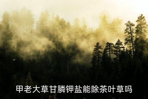 甲老大草甘膦鉀鹽能除茶葉草嗎