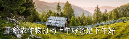 給農(nóng)作物打藥上午好還是下午好