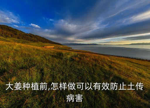 種生姜田用什么農藥,生姜用什么農藥防治最好
