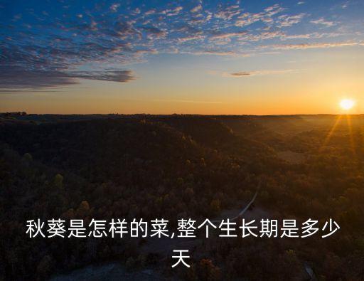  秋葵是怎樣的菜,整個生長期是多少天