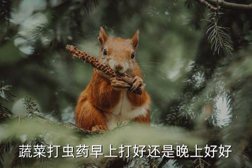 青菜農藥什么時候打,青菜需要打農藥嗎