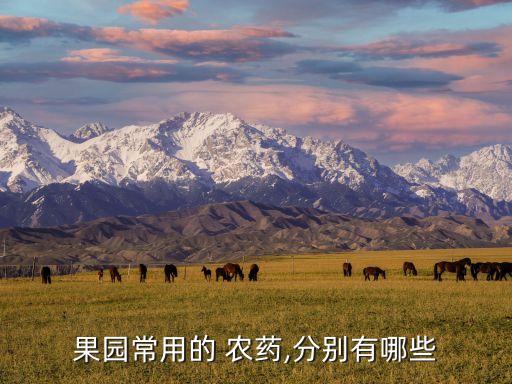 果園常用的 農(nóng)藥,分別有哪些