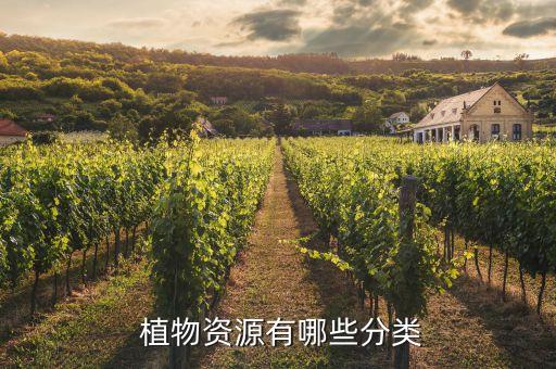 植物萃取農藥是什么藥材