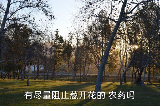 蔥黑粉病打什么農(nóng)藥,大蔥黑粉病用什么農(nóng)藥