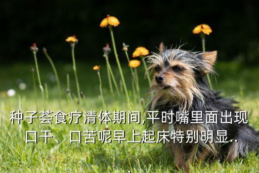種子薈食療清體期間,平時嘴里面出現 口干、口苦呢早上起床特別明顯...