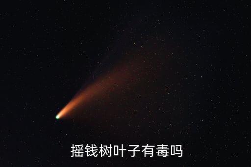  搖錢樹葉子有毒嗎