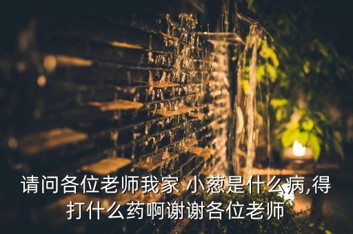 夏季小蔥打什么農藥,小蔥需要打農藥嗎