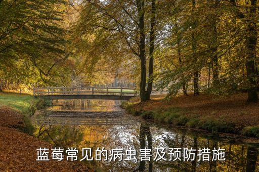 藍莓除蟲用什么農藥好使