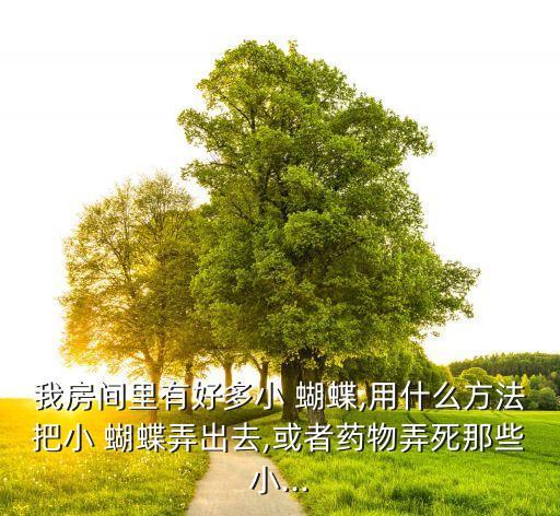 殺蝴蝶用什么農藥,什么農藥殺老鼠效果最好