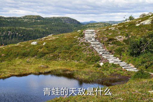 什么農藥能把青蛙殺死呢