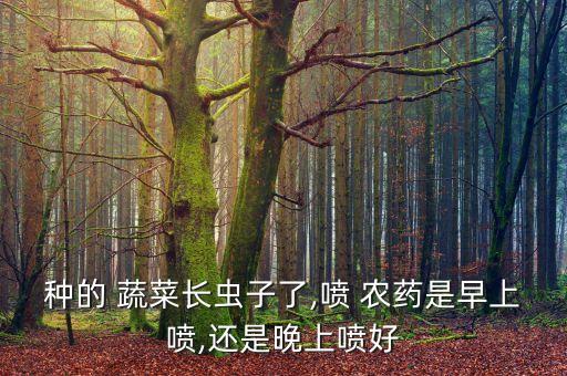 種的 蔬菜長蟲子了,噴 農(nóng)藥是早上噴,還是晚上噴好