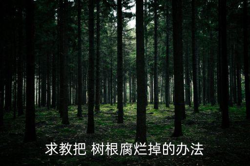 求教把 樹根腐爛掉的辦法