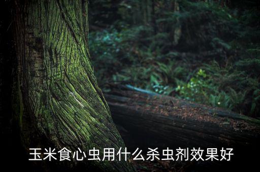  玉米食心蟲用什么殺蟲劑效果好